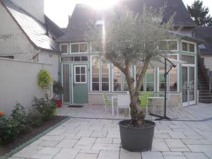 un árbol en una olla delante de una casa en au clair de lune, en Mehun-sur-Yèvre