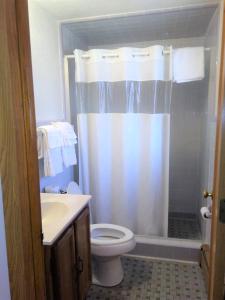 a bathroom with a toilet and a shower curtain at Hotel Blue Top Inn in Stevens Point
