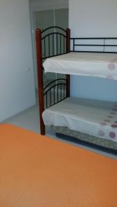 
A bunk bed or bunk beds in a room at Paraíso do Sol - Praia da Rocha
