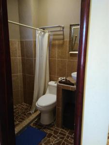 a bathroom with a toilet and a shower curtain at El Sueño de Quetzalcoatl in San Juan Teotihuacán +28 photos