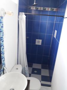 a blue bathroom with a toilet and a shower at Posada Ocean View in Providencia