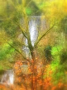 a painting of a tree in front of a waterfall at Lo Sghimbescio in Marradi