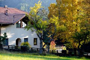 a white house with a tree in front of it at Villa Tilia in Siusi