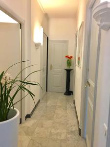 Ảnh trong thư viện ảnh của Monte-Carlo ở Monte Carlo