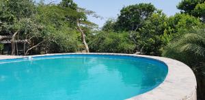 a large blue swimming pool with trees in the background at Kingfisher Bush Lodge in Enkovukeni