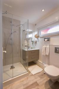 bagno con doccia in vetro e servizi igienici di Logis Hostellerie Motel Au Bois Le Sire a Orbey