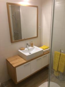 Koupelna v ubytování Apartment Mašić