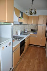 Kuchyň nebo kuchyňský kout v ubytování Apartments MM