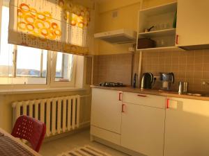 Lozhki的住宿－蝴蝶公寓，一间小厨房,配有白色的橱柜和窗户
