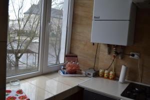 Кухня или мини-кухня в Zarvanskaya Street 5

