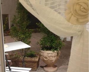 a white wedding veil in a pot with plants at Casa Vacanze Bel sole in Monopoli