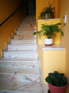 Una escalera con dos macetas. en Apartamento Rural La Plaza Vieja en Viver
