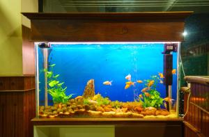 Fotografie z fotogalerie ubytování Surabhi Suites v destinaci Angamali