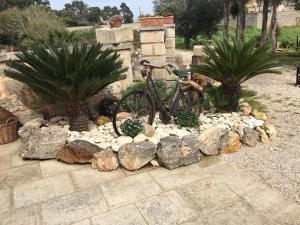 A garden outside Curti Russi