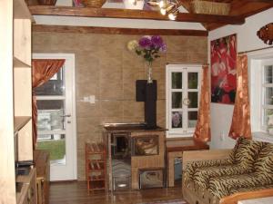 拉耶斯凱特普利采的住宿－chatka，带沙发和炉灶的客厅