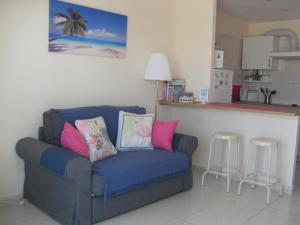 プエルト・デル・カルメンにあるIrene Apartmentのリビングルーム(青いソファ、ピンクの枕付)