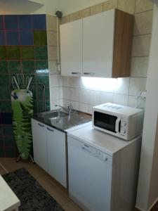 Kuchyňa alebo kuchynka v ubytovaní Apartment MIS Floura