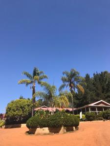 a group of palm trees and a building at Forest Lodge Resort in Pemberton