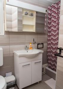 a bathroom with a sink and a toilet and a shower at Sobe Dario in Daruvar