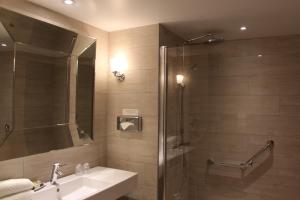 a bathroom with a sink and a shower at Hôtel Arnold in Itterswiller
