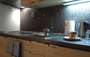 Kuchyňa alebo kuchynka v ubytovaní Harrachov Resident Apartments "Terrace & Chill" - high speed WiFi, možnost snídaně, Smart TV, Netflix, Disney plus