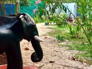 Marari Babu Homestay外面的花园