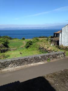 a dog standing next to a stone wall near the ocean at Casa do Ginjal in Santo Antonio