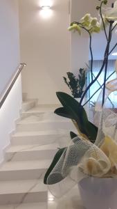 Fotografie z fotogalerie ubytování Hotel Grifone v Rimini