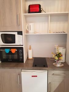 eine Küche mit einer Mikrowelle und einer Arbeitsplatte in der Unterkunft Granville hyper centre in Granville