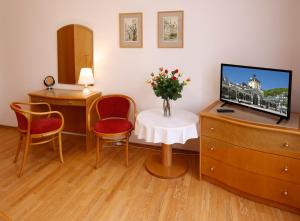 カルロヴィ・ヴァリにあるApartman Moravskaのリビングルーム(テレビ、花瓶付きのテーブル付)