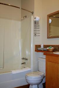 uma casa de banho com um WC, um chuveiro e um lavatório. em Cariboo Lodge em Clinton