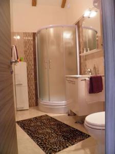 e bagno con doccia, servizi igienici e lavandino. di Romantic apartment a Koločep