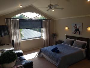 a bedroom with a bed and a large window at Makepeace Place Homestay in Hamilton