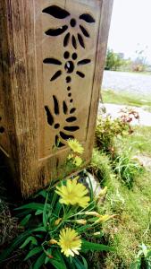 Zahrada ubytování Dragonfly B&B