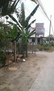 a sign in front of a building with a palm tree at Misa Guesthouse in Dien Khanh +3 photos
