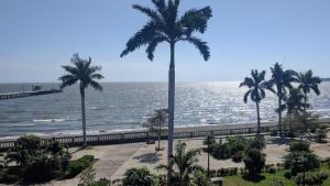 uma vista para a praia com palmeiras e o oceano em Hotel El Maltese em Granada