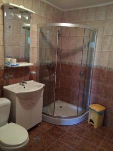a bathroom with a shower and a toilet and a sink at Pensiunea Ego in Bran