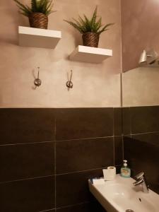 een badkamer met een wastafel en twee planten aan de muur bij 3Jolie in Verona