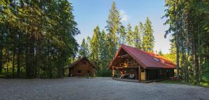 une cabane au milieu d'une forêt plantée d'arbres dans l'établissement Irvese Puhkemaja, à Haanja