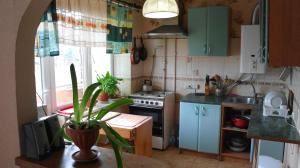 een kleine keuken met blauwe kasten en een potplant bij Apartment on Korjatovich 6a in Berehove