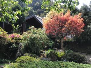 Un jardín fuera de 福緣山莊 桃園市民宿004號