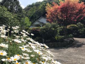 Un jardín fuera de 福緣山莊 桃園市民宿004號