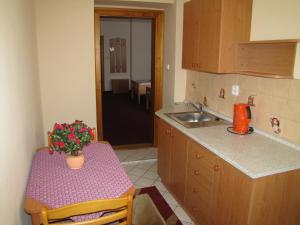 a kitchen with a table with a flower pot on it at Penzion Aldo in Karviná