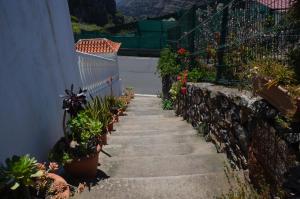 
a row of stairs leading to a garden area at Rural Gomera in Arure
