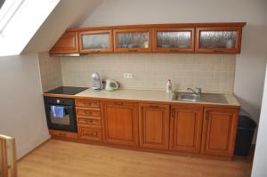 諾瓦佩茲的住宿－Apartmán Šestka，一个带木制橱柜和水槽的小厨房