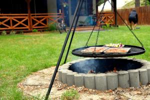 grill z dwoma pizzami na górze w obiekcie 66 Szyszek w mieście Susiec