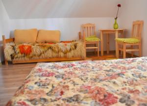 salon z kanapą i 2 krzesłami w obiekcie 66 Szyszek w mieście Susiec