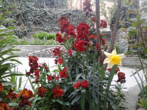 بيت ضيافة إديم في تبليسي: مجموعة من الزهور الحمراء والصفراء في الحديقة
