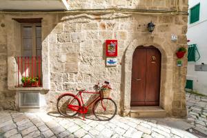 Jízda na kole v ubytování B&B Borgo San Martino nebo okolí