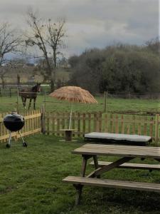 a picnic table with a grill and a horse in a field at LA NOALHA INSOLIT' in Lanouaille